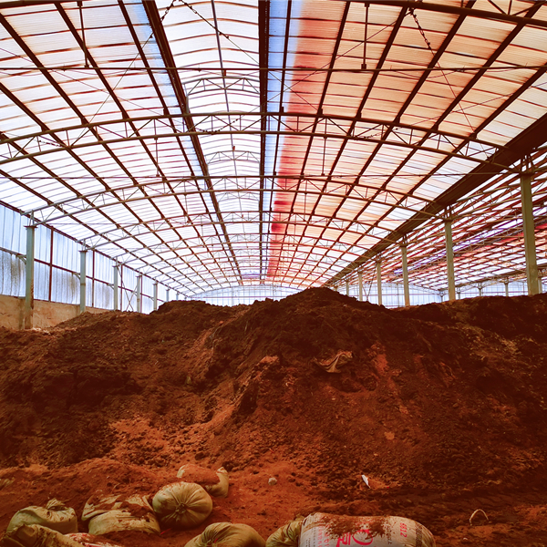 Demo Image